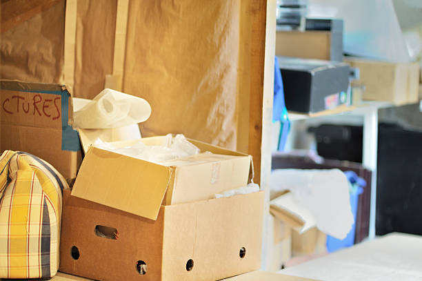 Best Recycling Services for Junk  in Nisswa, MN
